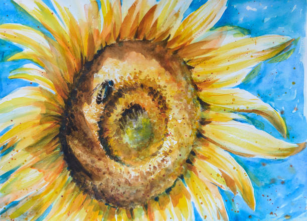 sonnenblume aquarell gemalten - bee flower backgrounds golden sunflower stock-grafiken, -clipart, -cartoons und -symbole