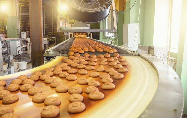 istock Cakes on automatic conveyor belt or line, process of baking in confectionery culinary factory or plant. Food industry, cookie and other sweet breadstuff production 986057030