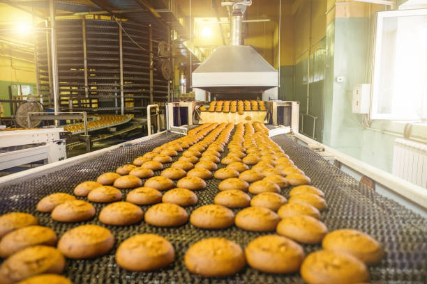 istock Cakes on automatic conveyor belt or line, process of baking in confectionery culinary factory or plant. Food industry, cookie and other sweet breadstuff production 986059314