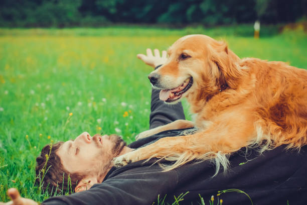 istock Guy and his dog, golden retriever, nature 986073852