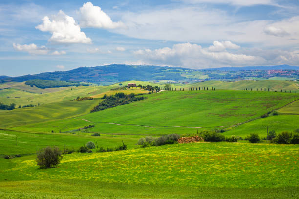 istock Pienza, Valley Val d'Orcia, Tuscany, Italy 986074322