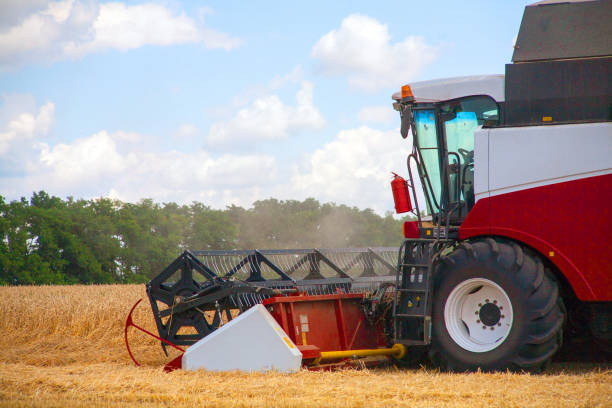 istock Harvester machine to harvest wheat field working 986075492