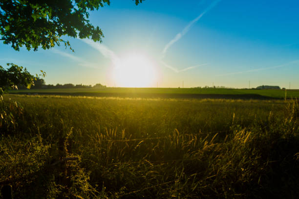 istock Sunset in rural rolling hills countryside 986099062