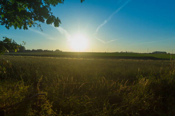 istock Sunset in rural rolling hills countryside 986099102