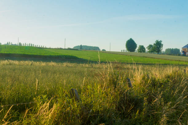 istock Sunset in rural rolling hills countryside 986099204