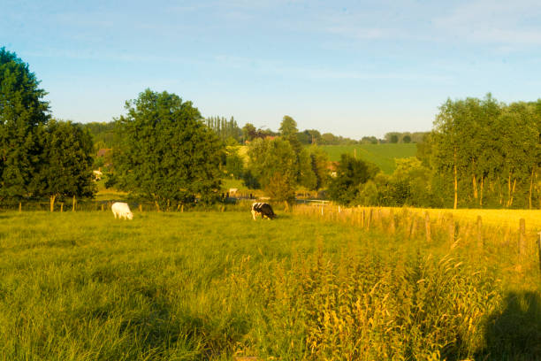 istock Sunset in rural rolling hills countryside 986099208