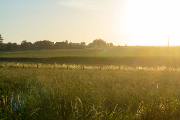 istock Sunset in rural rolling hills countryside 986099326