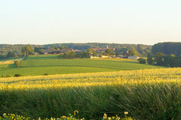 istock Sunset in rural rolling hills countryside 986100338
