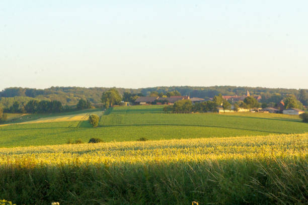 istock Sunset in rural rolling hills countryside 986100366