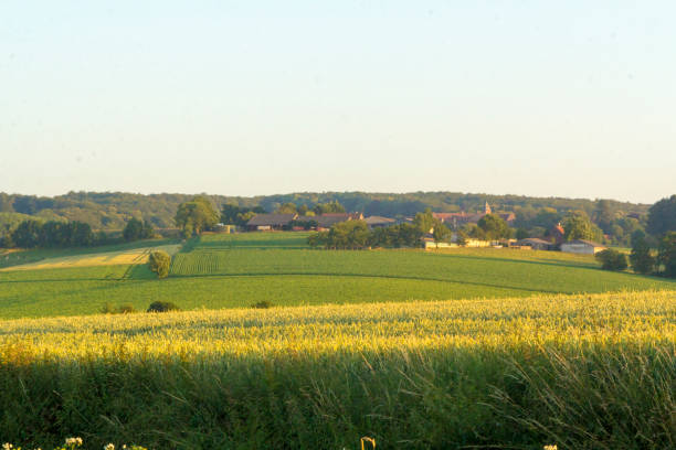 istock Sunset in rural rolling hills countryside 986100374