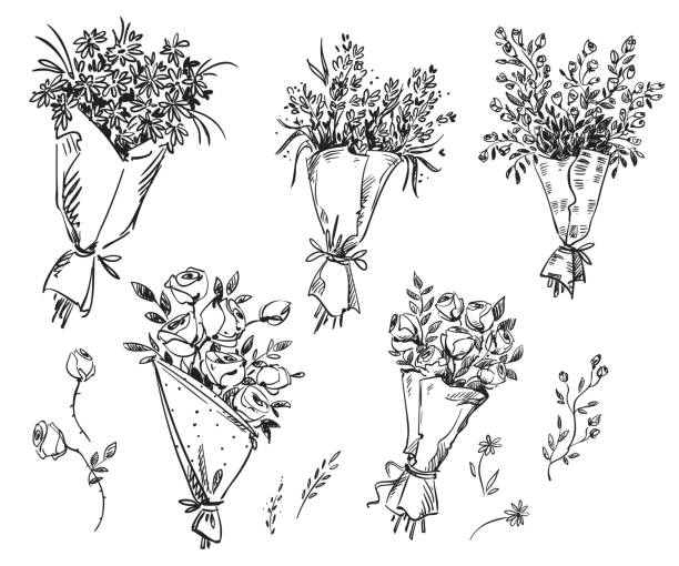 손으로 그린 꽃다발, 벡터 스케치의 집합 - bouquet rose wedding flower stock illustrations