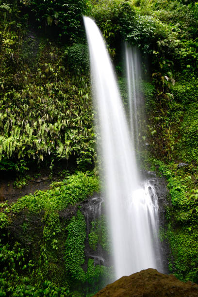 istock Waterfall hidden in the tropical jungle 986119316