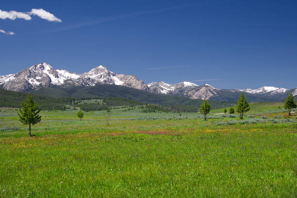istock Sawtooth Mountains and Wildflowers 1899 986136548
