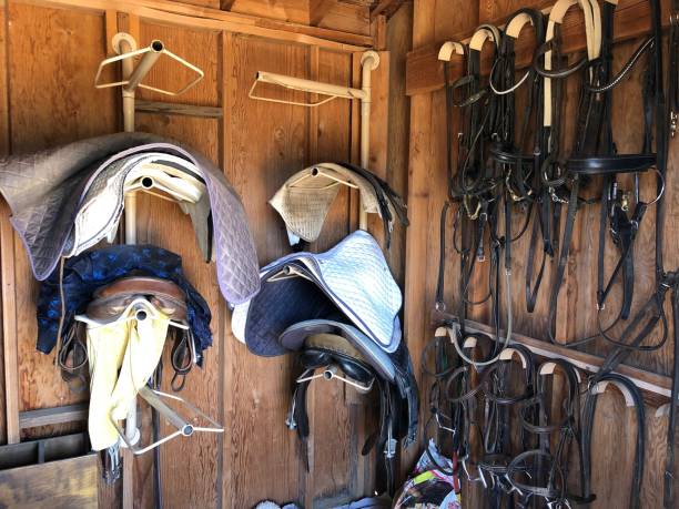 istock Horse equipment at a stable - (saddles, saddle blankets, straps, nose bands and more) 986140770