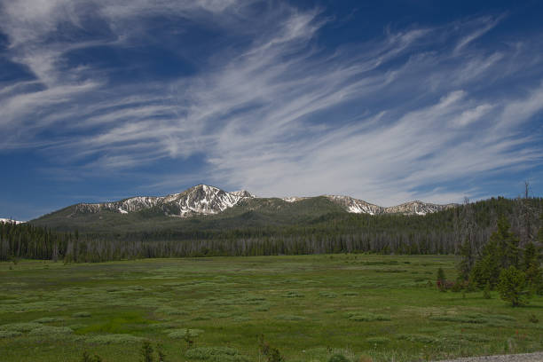 Sawtooth Mountains and wildflowers from Cape Horn Road near Stanley, Idaho