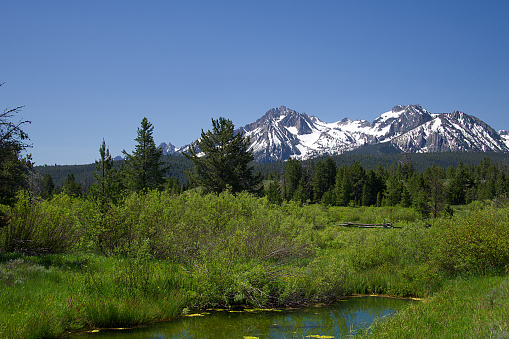 View of the Sawtooth Mountains from Nip and Tuck Road, near Stanley, Idaho