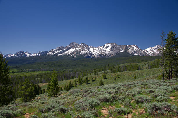 istock Sawtooth Mountains from Nip and Tuck Road 1855 986149436