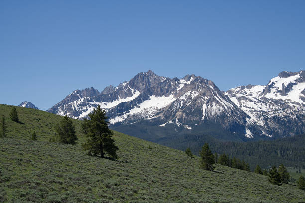 istock Sawtooth Mountains from Nip and Tuck Road 1889 986153846