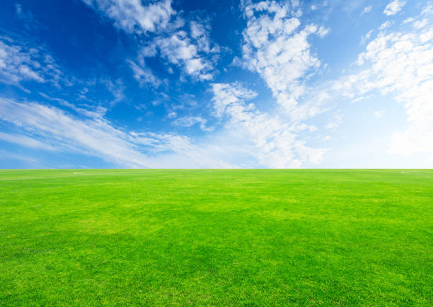 Green football field under blue sky background