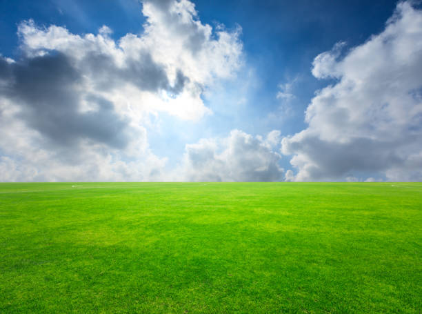 istock Green football field under blue sky 986204240