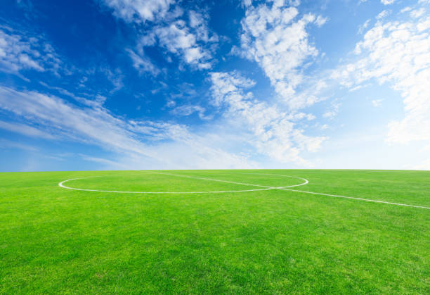 Abandoned soccer field