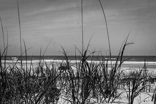 a white sandy beach in black and white