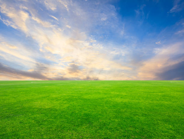 istock Green football field and sky clouds 986207290