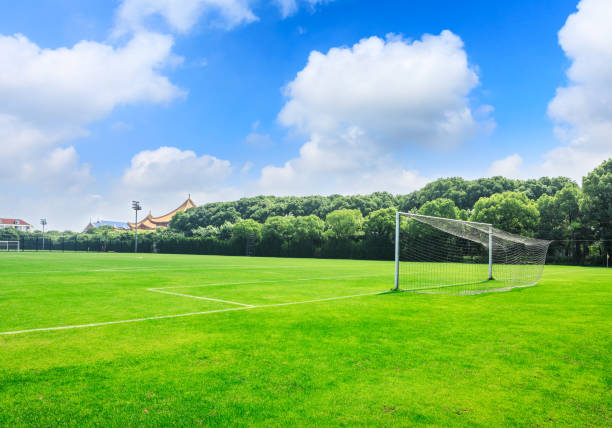 istock Green football field under blue sky 986208790