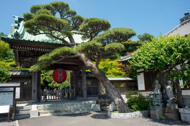 la porta del tempio hase di kamakura, giappone - hase temple foto e immagini stock