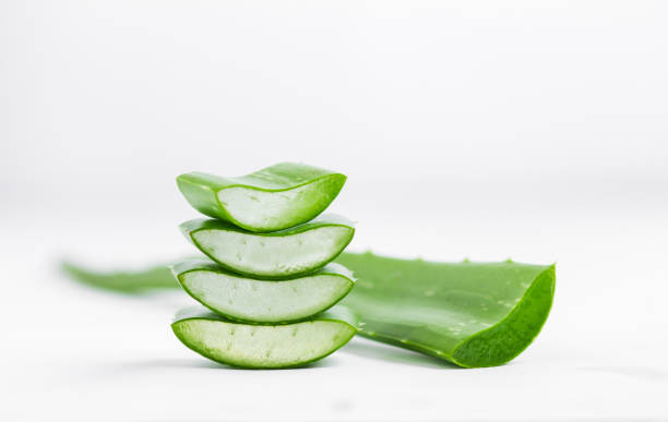 istock fresh Aloe Vera Stacked in White background 986274360