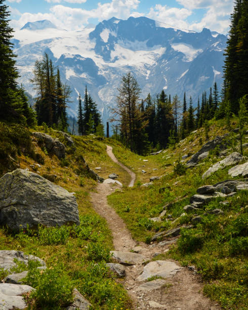 istock Jumbo Pass hiking trail, British Columbia, Canada 986279474