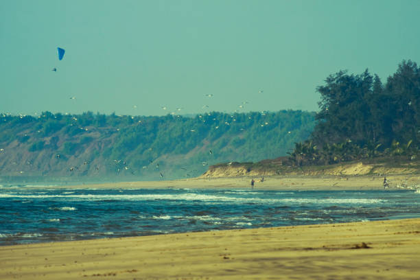 Rocks and Sea with trees in Prainha Beach, Peruibe, Brazil