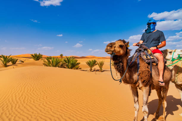 istock Tourist riding camel in the Sahara Desert Morocco 986297658