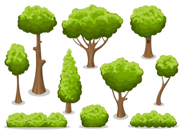 Cartoon bush and tree set Cartoon bush and tree set. Vector trees and bushes isolated on white background, nature green forest plants for hedge or cute landscape tree illustration and painting art cartoon stock illustrations