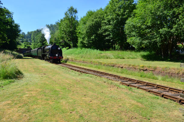 istock Vintage steam train emerging from a tunnel on a heritage railway line. 986342628