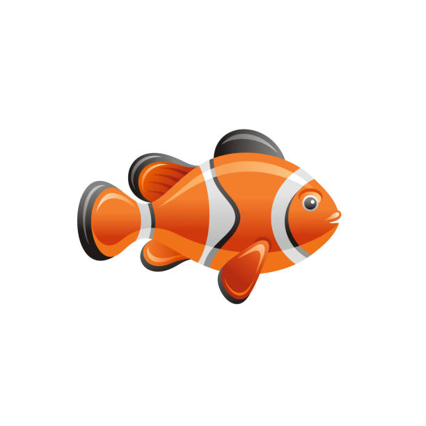 meer reisen vektor symbol isoliert auf weißem hintergrund. clown fische urlaub 3d-illustration. niedliche cartoon-symbol. sommerferien-zeichen. seemann-tag-clipart-grafiken - tropical fish clown fish isolated animal stock-grafiken, -clipart, -cartoons und -symbole