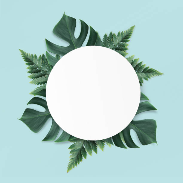 istock Green leaves and circle frame background for copy space or text creative advertising 986348488