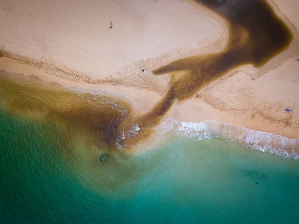 istock Waimea River Feeding the Ocean 986388242