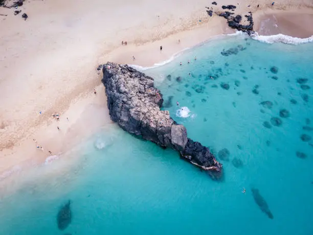 Aerial view of rocky seascape at Waimea Bay Beach Park with divers jumping off cliff into clear turquoise water. Oahu, Hawaii, north shore.