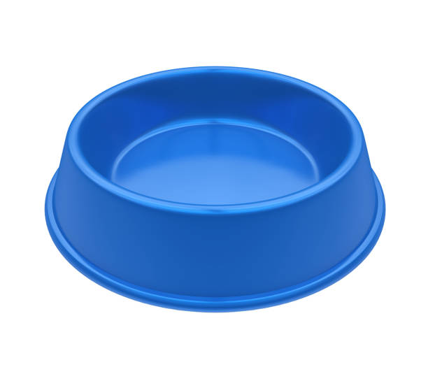 istock Metal Pet Bowl Isolated 986418698