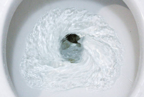 istock selective focus close up flushing toilet bowl for sanitary 986436726