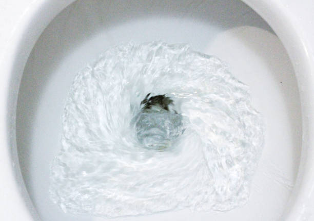 istock selective focus close up flushing toilet bowl for sanitary 986436730
