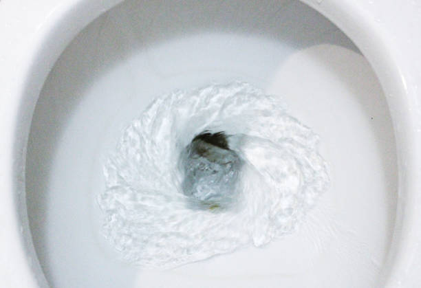 istock selective focus close up flushing toilet bowl for sanitary 986436736