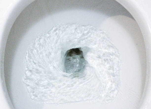 istock selective focus close up flushing toilet bowl for sanitary 986436750