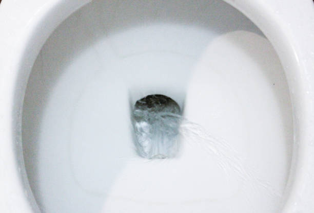 istock selective focus close up flushing toilet bowl for sanitary 986436766