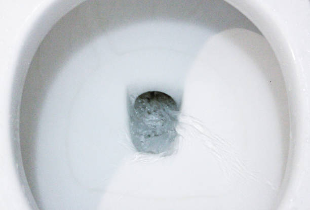 istock selective focus close up flushing toilet bowl for sanitary 986436768