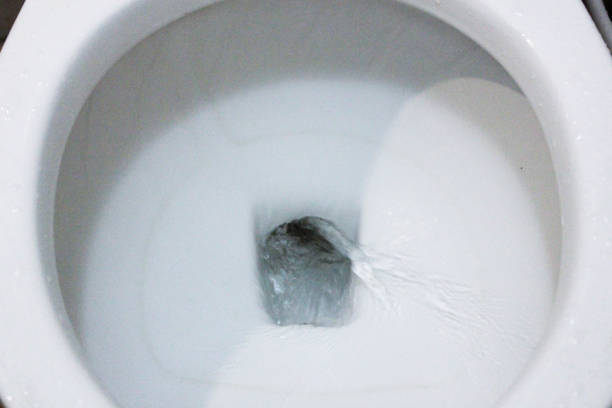 istock selective focus close up flushing toilet bowl for sanitary 986436798