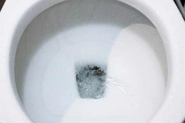 istock selective focus close up flushing toilet bowl for sanitary 986436804