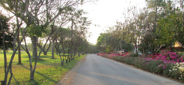 istock The park and street 986442144