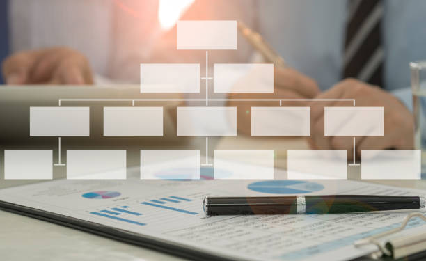 organisation struktur - organization chart flow chart organization flowchart stock-fotos und bilder